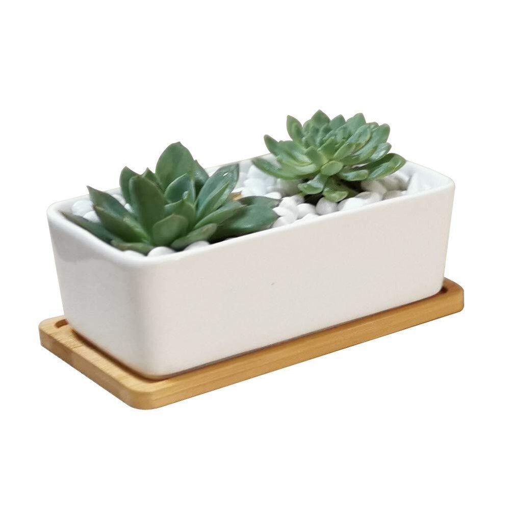 6.5 Inch Rectangle White Ceramic Succulent Planter Pot Decorative Cactus Plan...