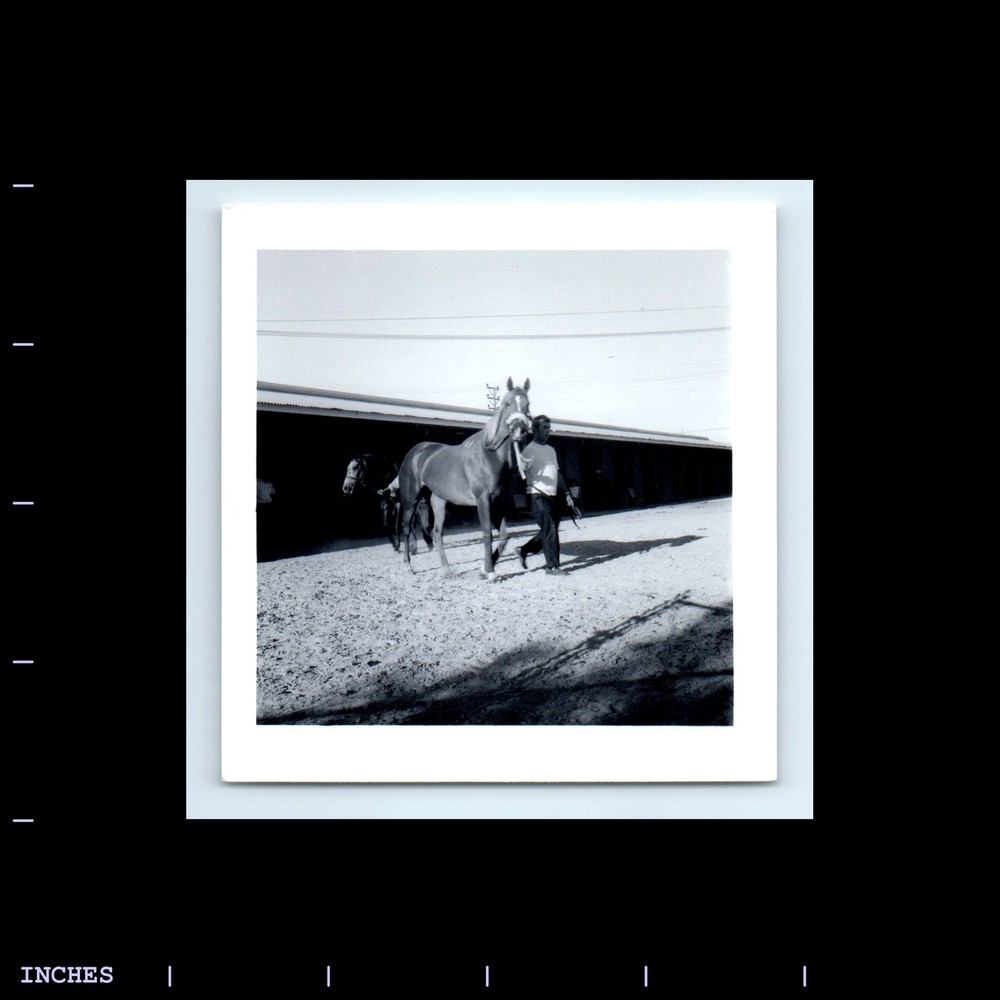 Vintage Square Photo HORSE AND RIDER