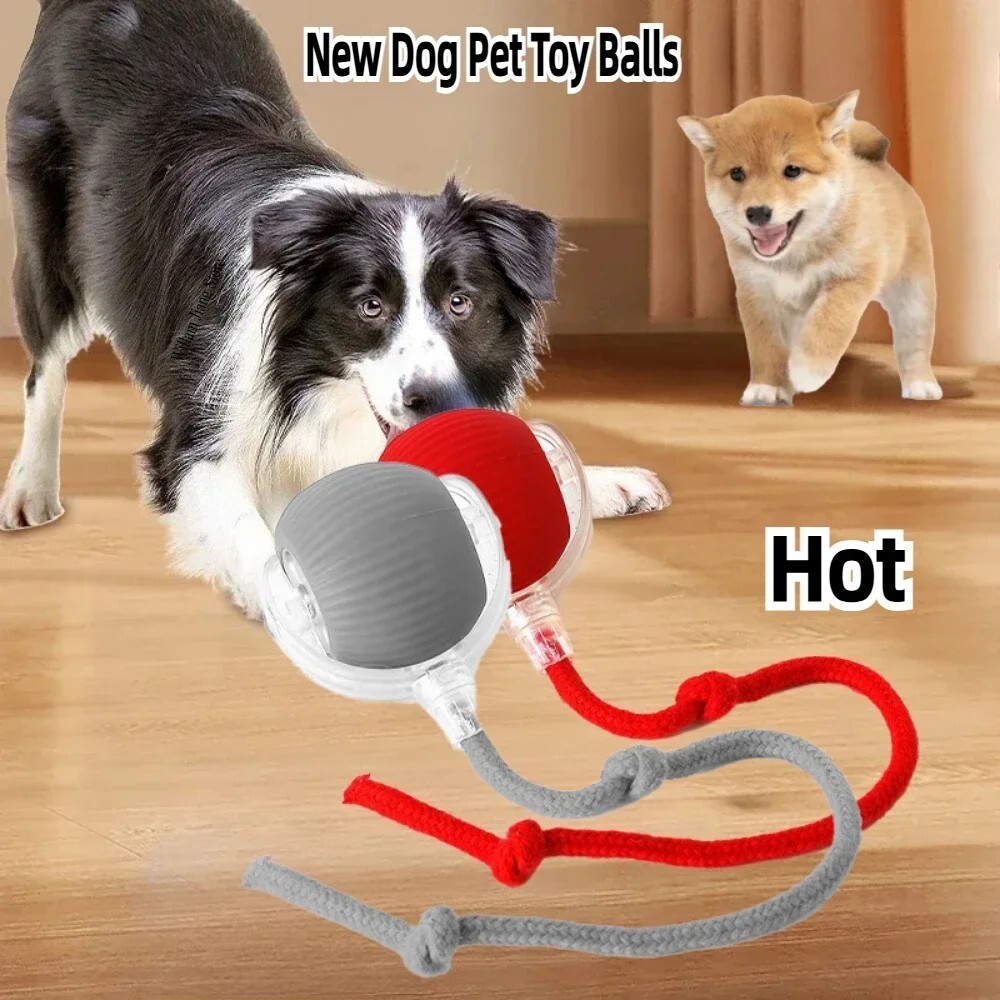 Automatic Rolling Ball Smart Cat Dog Toy Electric Pet Self-moving Kitten Game US