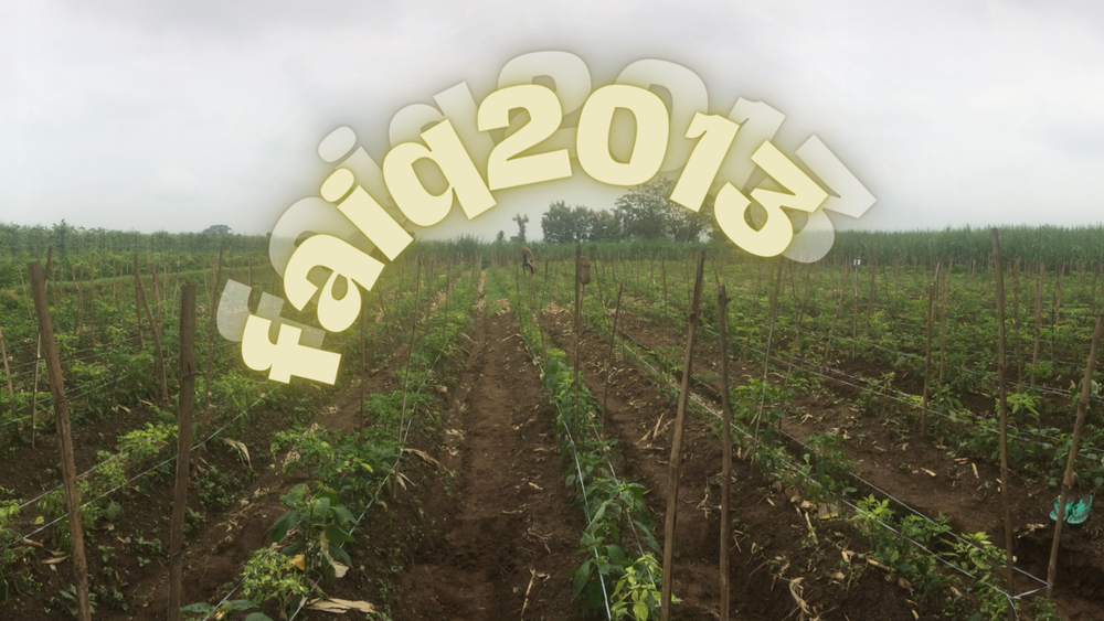 Digital Kepung Chili Field Wallpaper Background Image #hh-image