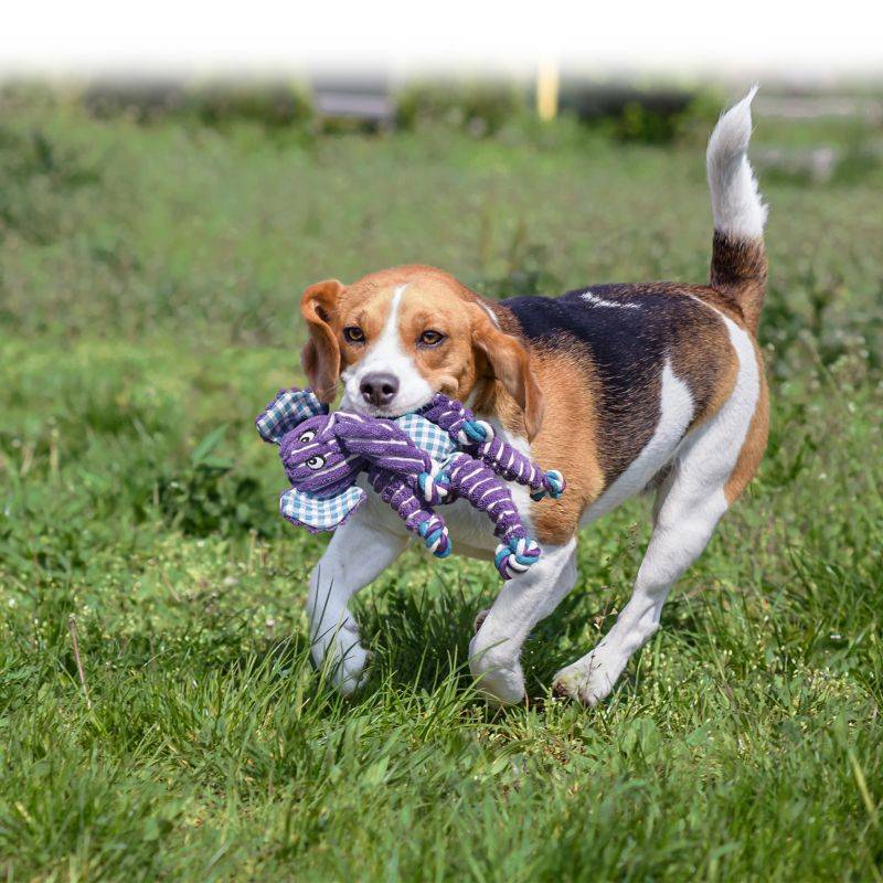 Kong Floppy Knots Bunny Small Pink