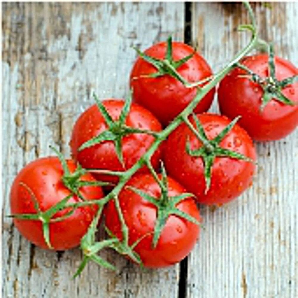 25 Seeds Red Cherry Tomato (Large) Seeds (More Heirloom Organic Non GMO Vegetabl