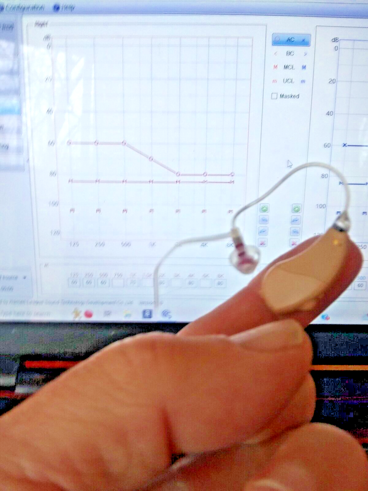 4-Program 2-Mic RIC Hearing Aids for Severe Hearing Loss USA