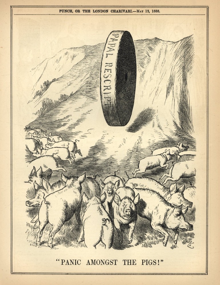 RARE 1888 British Satire on Ireland Papal Rescript Depicting Pope and Catholics as Pigs and Millstone-image