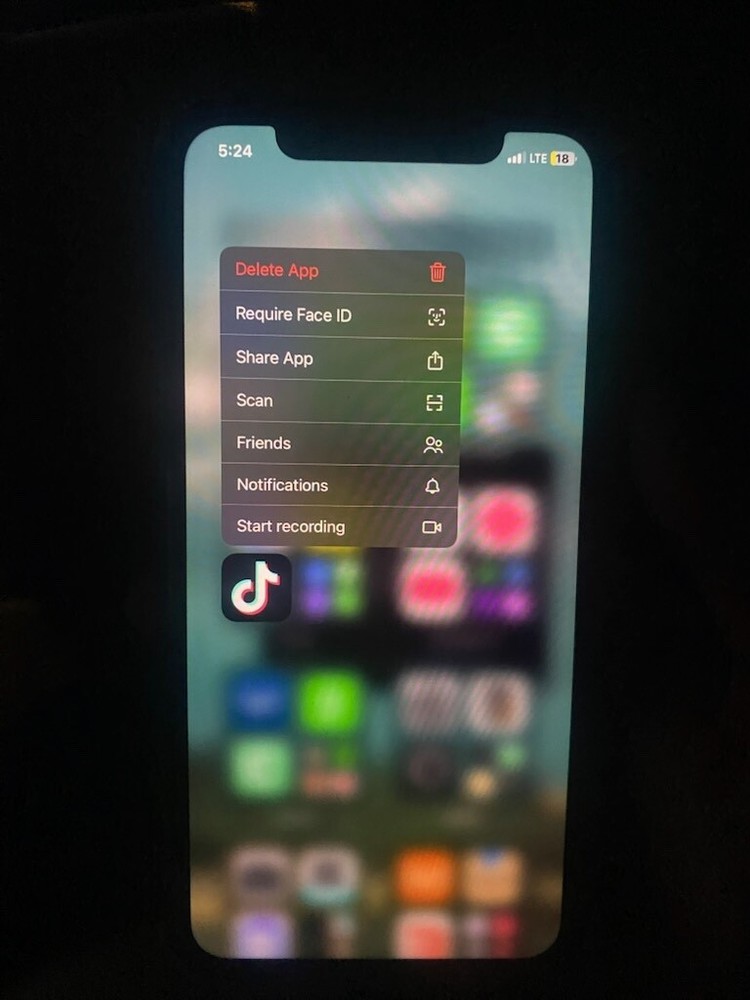 Apple iPhone 11 - 256 GB - Black Gray (Unlocked)