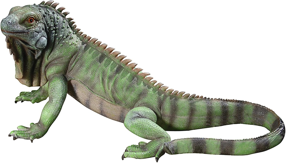 Design Toscano Large 22-Inch Iggy the Iguana Indoor Outdoor Garden Statue