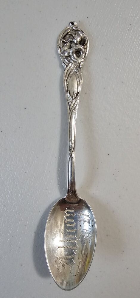 Watson Orchid 1903 Sterling Teaspoon 5 9/16