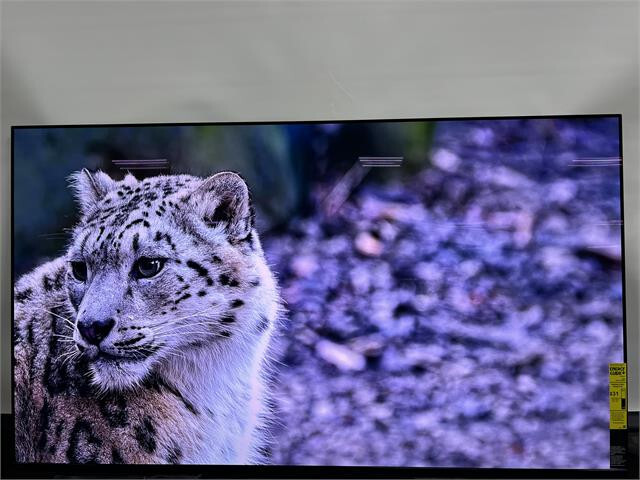 Sony BRAVIA XR 65