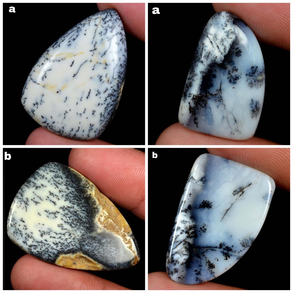 15.85,55.00 Cts 100% Natural Dendrite Opal Cabochon 2 Pcs Mixed Gemstone FY19