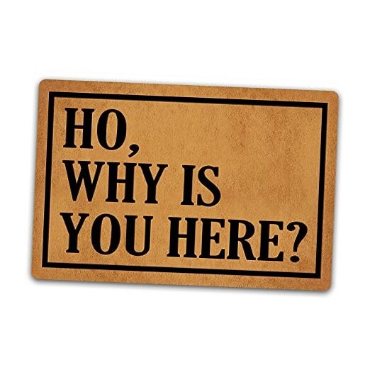 Funny Ho Why is You Here Non-Slip Rug for Indoor Outdoor Entryways