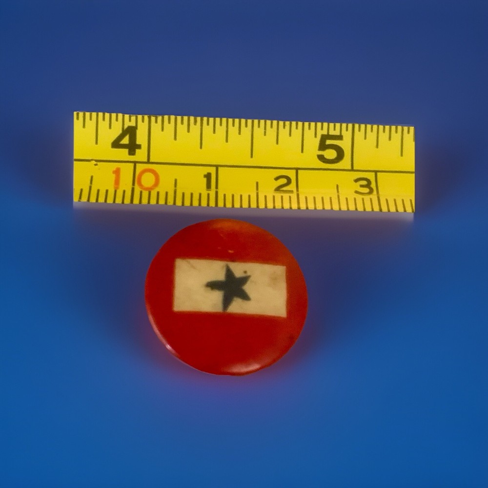Blue Star Military Family Pin
