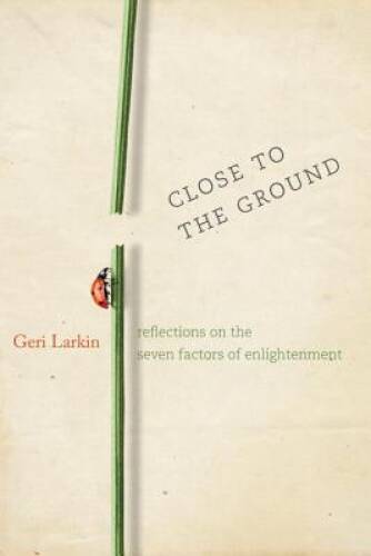 Close to the Ground: Reflections on the Seven Factors of E - VERY GOOD