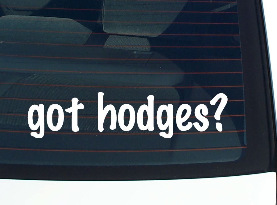 got hodges? CAR DECAL BUMPER STICKER VINYL FUNNY LAST NAME WINDOW PRIDE