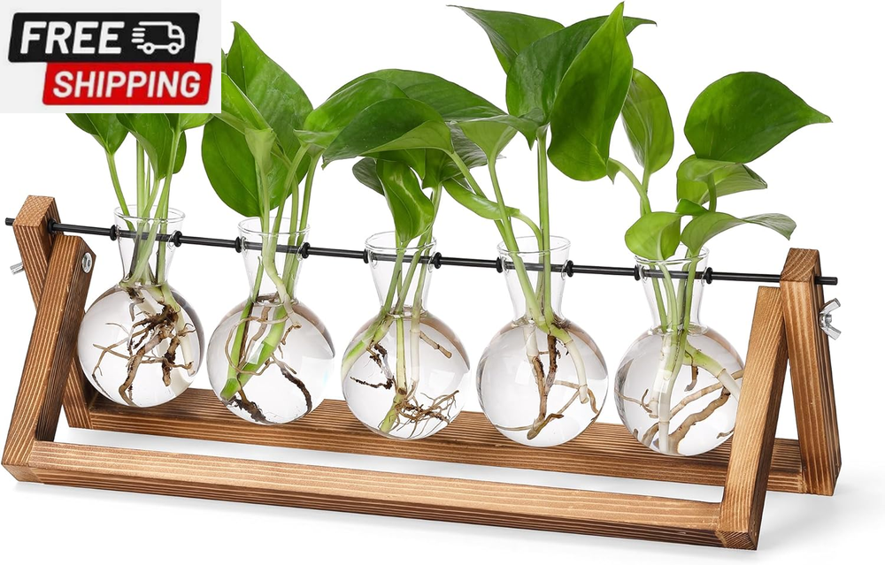 Propagation Stations,Plant Terrarium with Wooden Stand,Plant Lover Gifts for Wom