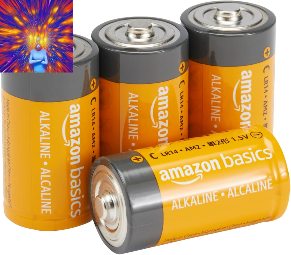 4-Pack C Cell Alkaline All-Purpose Batteries, 1.5 Volt, 5-Year Shelf Life