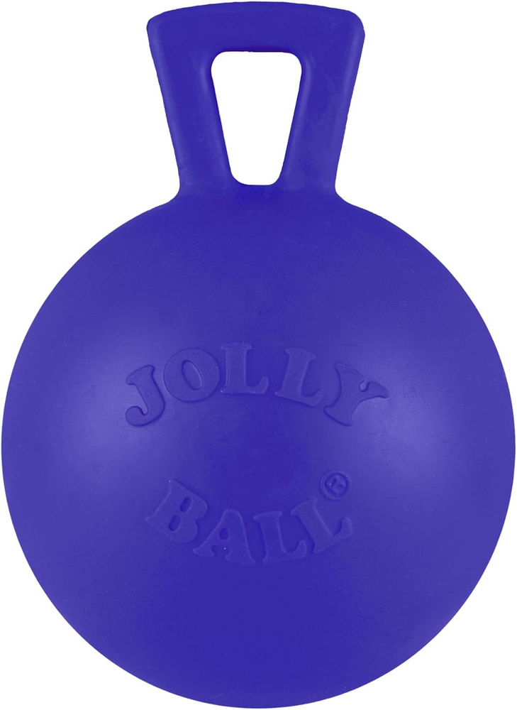 Tug-n-Toss Heavy Duty Dog Toy Ball with Handle, 4 Inches/Petite, Blue (404 BL)