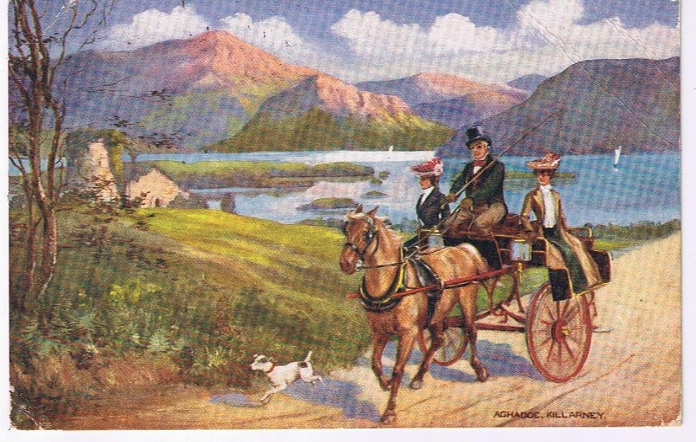 Ireland Postcard Killarney Aghadoe Horse Carriage Dog People