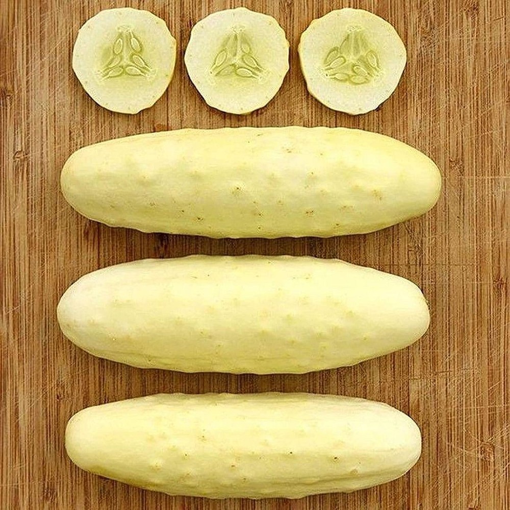 25 Seeds Silver Slicer Cucumber Seeds (More Heirloom Organic Non GMO Vegetable F