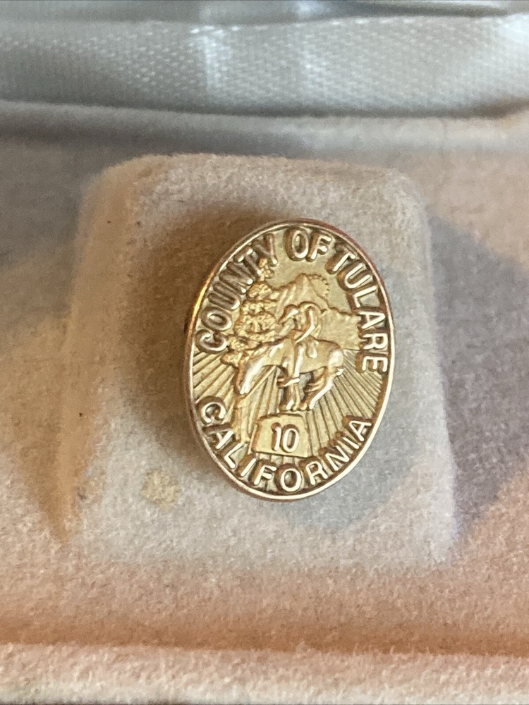 Vintage County Of Tulare California 10 Year 1/10 10K Gold Pin Very Rare Item!!!!