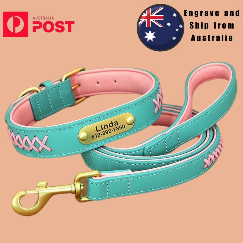 Custom Engraved Leather Dog Collar with Braided Padded Design-image