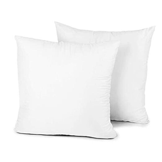 Feathers Down Throw Pillow Inserts 28x28, Set of 2, 100% Organic Cotton Shell,