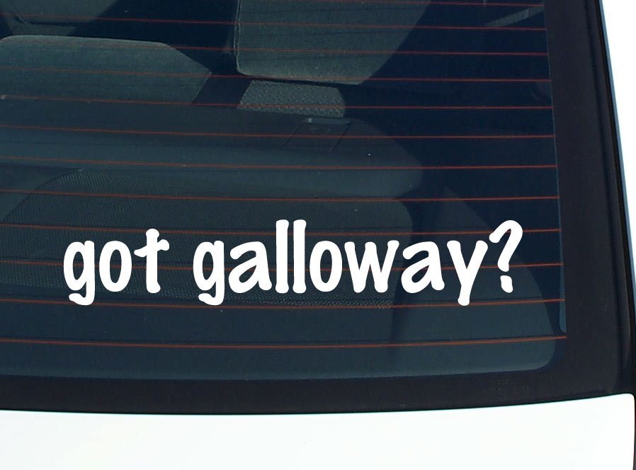 got galloway? CAR DECAL BUMPER STICKER VINYL FUNNY LAST NAME WINDOW PRIDE