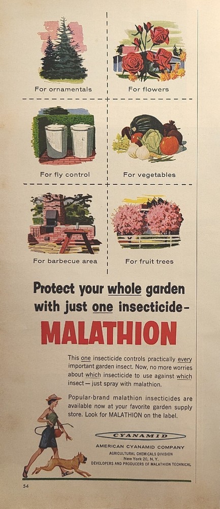 Malathion Insecticide Insect Spray American Cyanamid Co. Vintage Print Ad 1956
