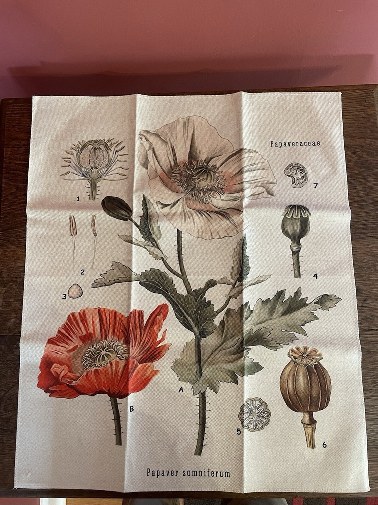 Dandelion & Poppy French Botanical Wall Hanging 20x24”