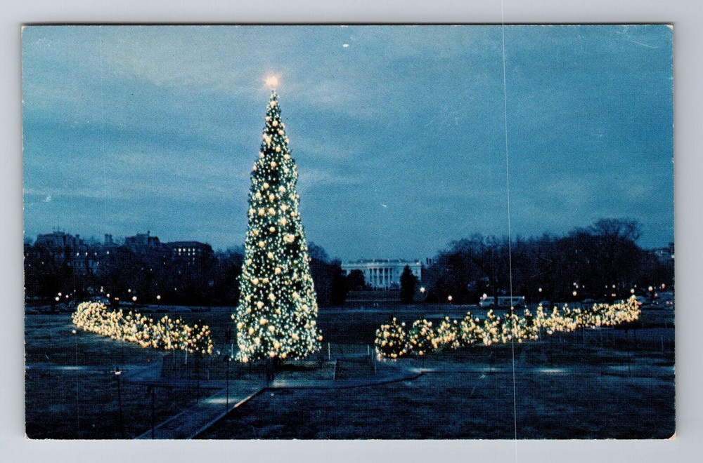 Washington DC, Christmas Tree Illuminated White House, Vintage Postcard