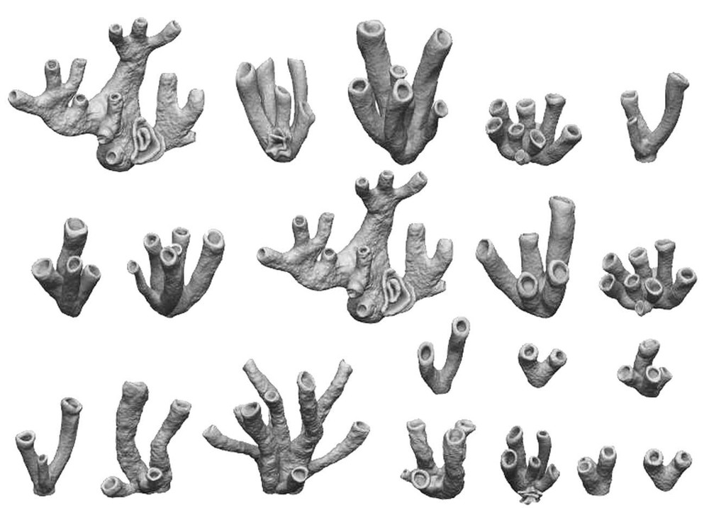 Green Staff World Diorama Accessories 3D Print Set Coral 20pcs GSWD-11628