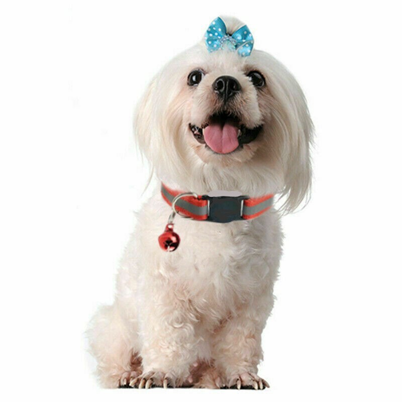 Small Dog Cat Collar ~ CUTE ~ Buckle Bell Reflective Stripe Kitten Puppy