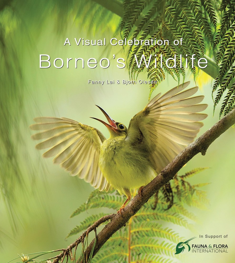 A Visual Tribute to Borneo’s Wildlife with Royalties Supporting Fauna Conservation-image