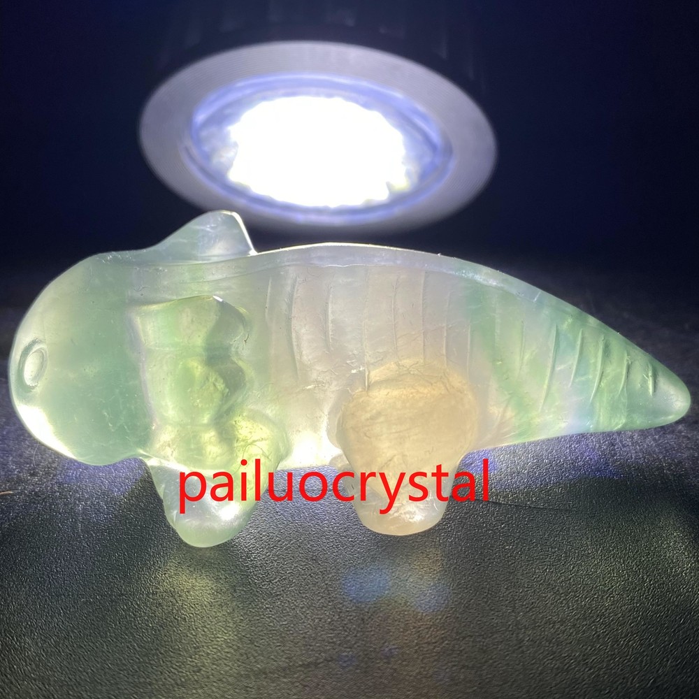 1pc Natural Fluorite Salamander Quartz Crystal Skull Carved Figurines Gem 2.5