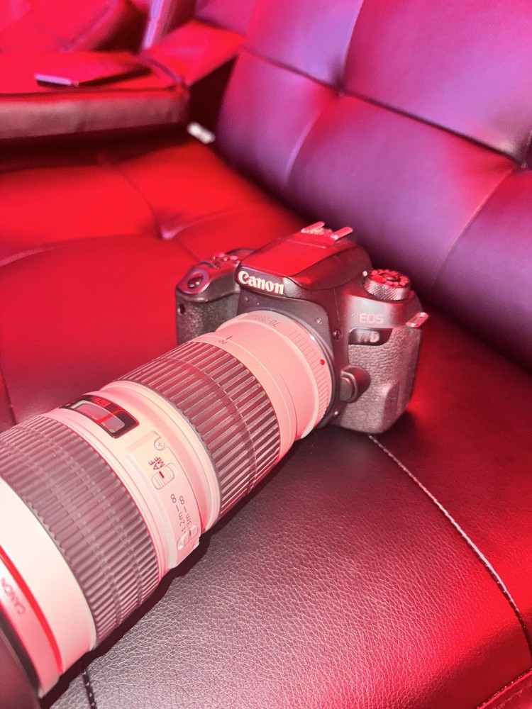 Canon EOS 77D 24.2 MP Digital SLR Camera - Black (Body Only)