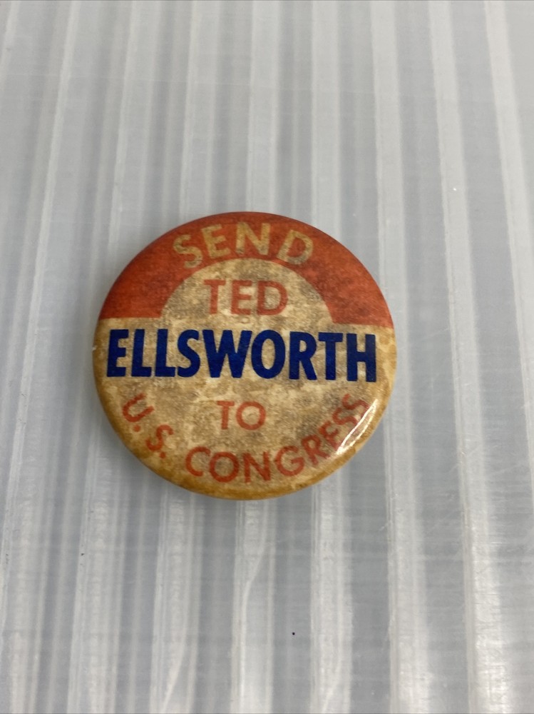 Elect Ted Ellsworth to US Congress political election pin 1.5in