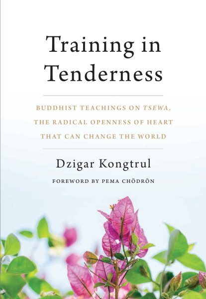 Training in Tenderness: Learn TSEWA and Embrace Radical Openness through Buddhist Teachings
