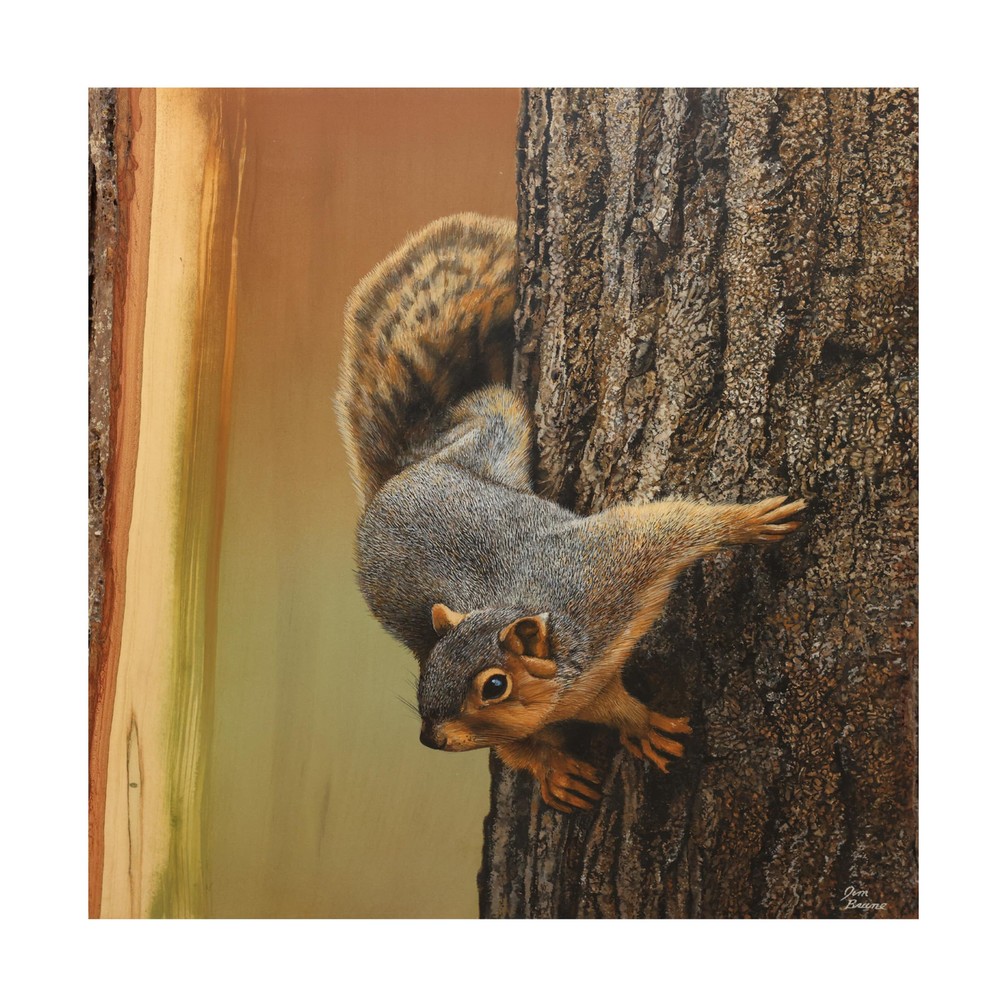 Canvas Wall Art - Jim Brune 'Curious Squirrel' Wall Art for Living Room, Bedr...