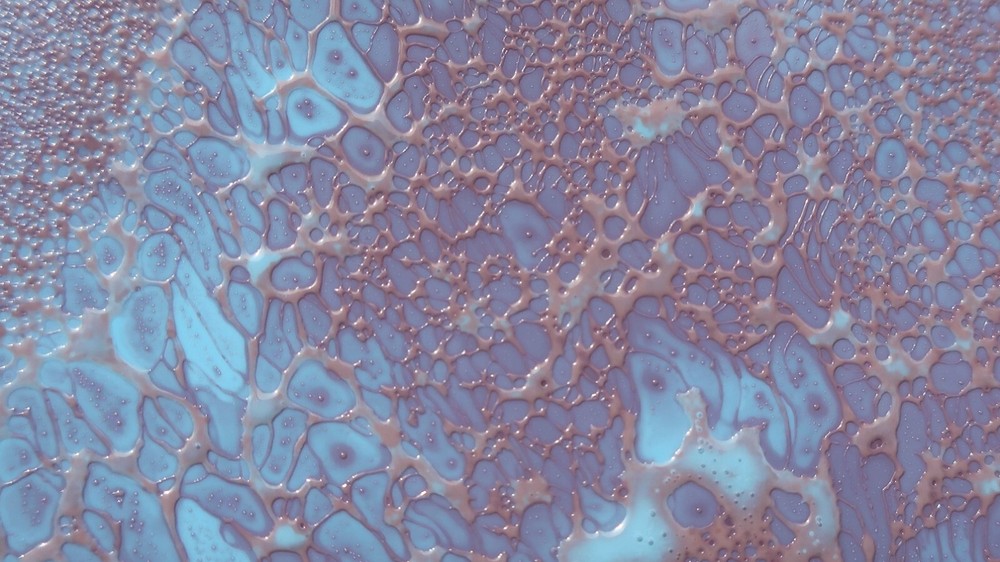 Digital Art Wallpaper Photo Image for Desktop & Phone  -image