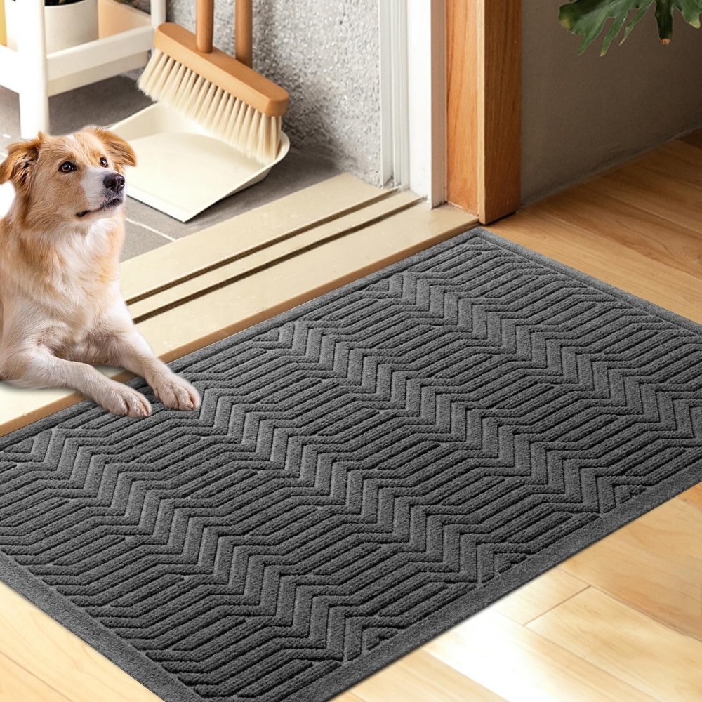 Door Mat Indoor Entrance, Sturdy Front Door Mat Outdoor, Absorbent Muddy Dirt...