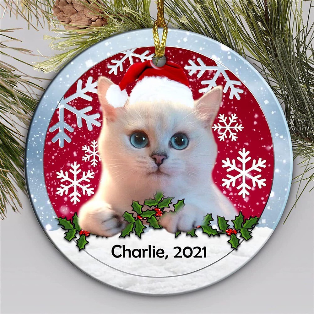 Personalized White Cat 2023 Christmas Ornament  Christmas Cats Decorations  P