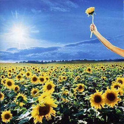 Thank You: The Best Of CD (2003)