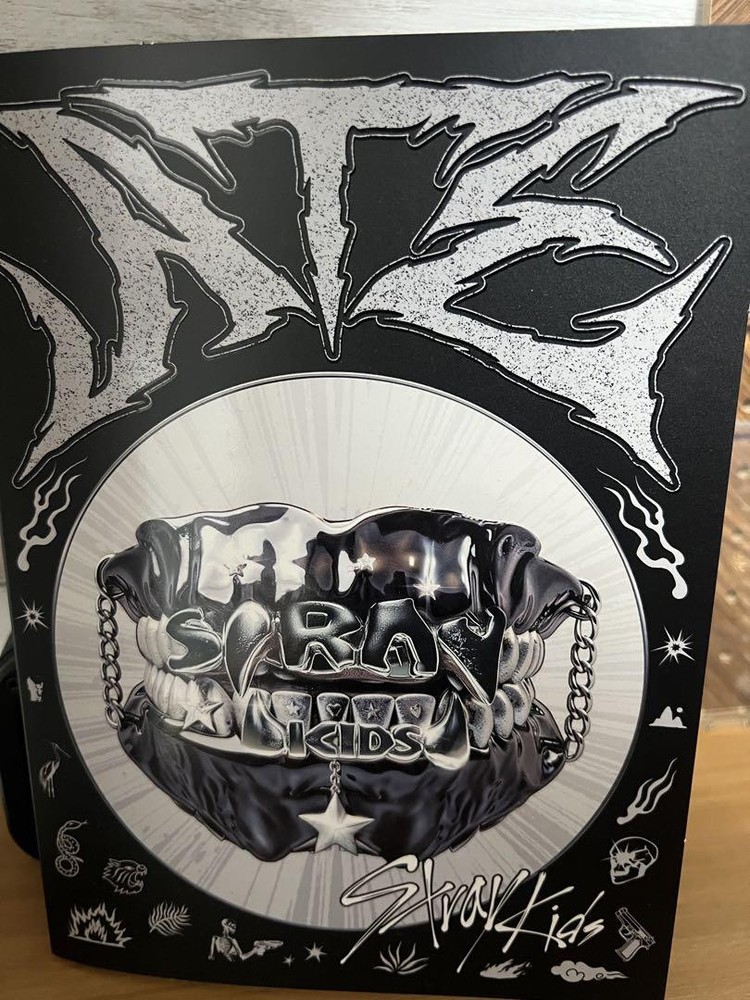 Stray Kids Datz Album