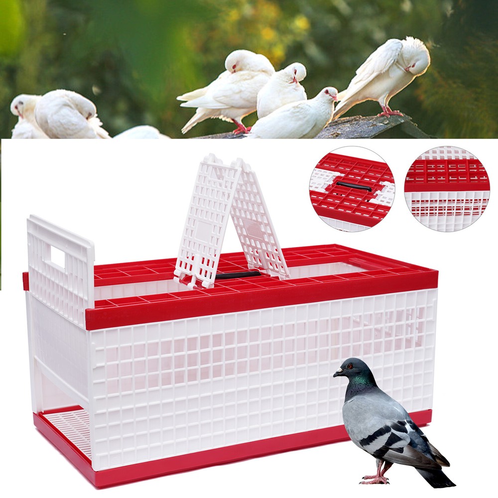 Racing Pigeon Carrier Box with 2 Side & 2 Top Doors for Bird Training US