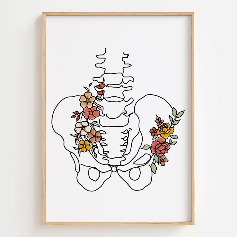 Floral Pelvic Anatomy Art Print Chiropractic Poster Flower Pelvic Floor Wall Decor