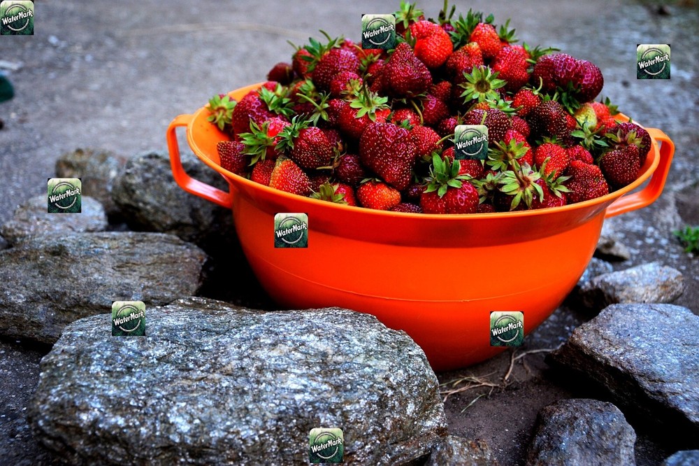 Digital Art Photo Virtual Gift - Bowl of Strawberries & Stones E-Product-image