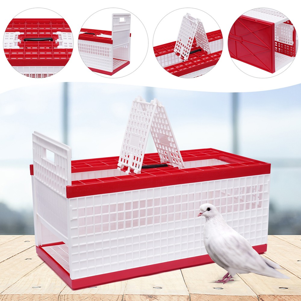 Racing Pigeon Carrier Box with 2 Side Doors and 2 Top Doors for Bird Training