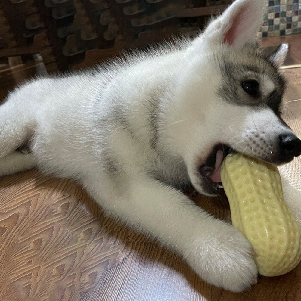 Dog Plush Toys Bite- Resistant Molar Toys Dog Teeth Care Stick