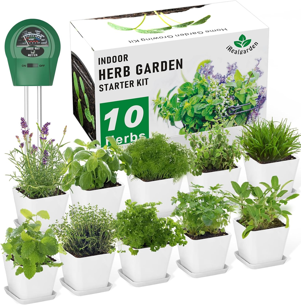 Herb Garden Kit Indoor Herb Garden Starter Kit - 10 Variety Herbs Kitchen Window