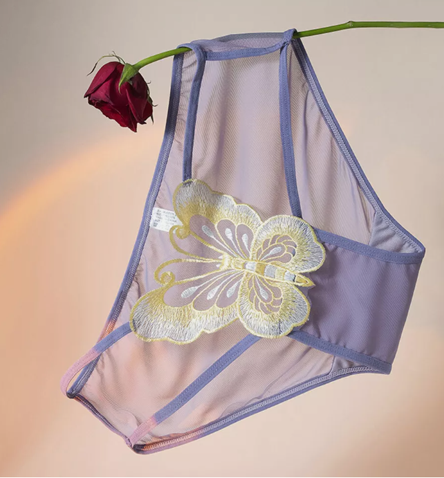 Women's Knickers Thongs G-string Panties Briefs Mesh Sheer Underwear Lingerie