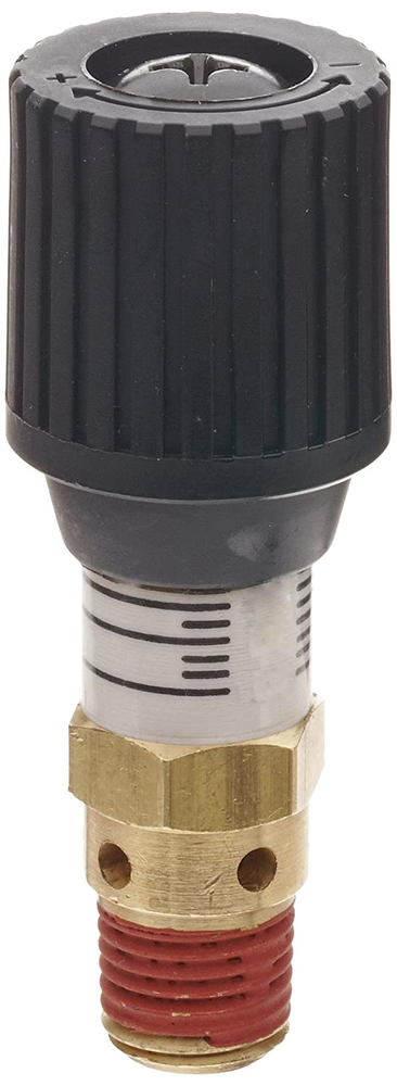 - CR25-100 -CR25 CR Series Brass Pressure Relief Valve, 0-100 P